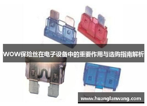 WOW保险丝在电子设备中的重要作用与选购指南解析