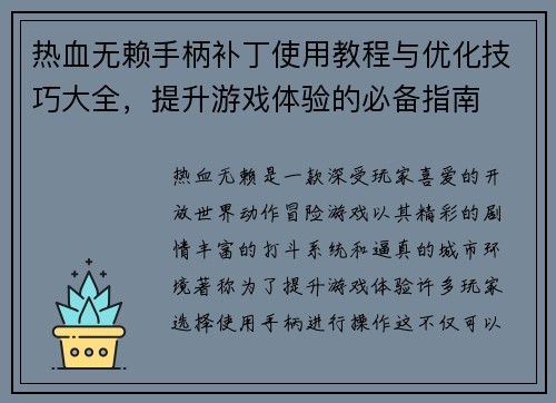 热血无赖手柄补丁使用教程与优化技巧大全,提升游戏体验的必备指南 热血无赖手柄补丁使用教程与优化技巧大全,提升游戏体验的必备指南